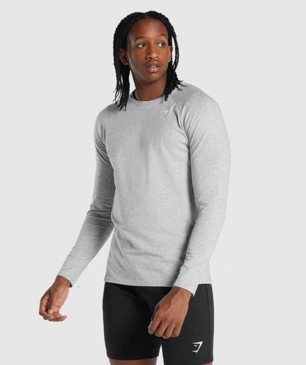Panske Mikiny Gymshark Critical 2.0 Long Sleeve Svetlo Siva | RG8126395